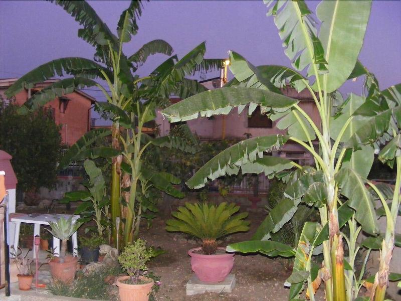 B&B Terra Del Sole San Leone Exterior photo